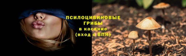 прущая мука Нягань